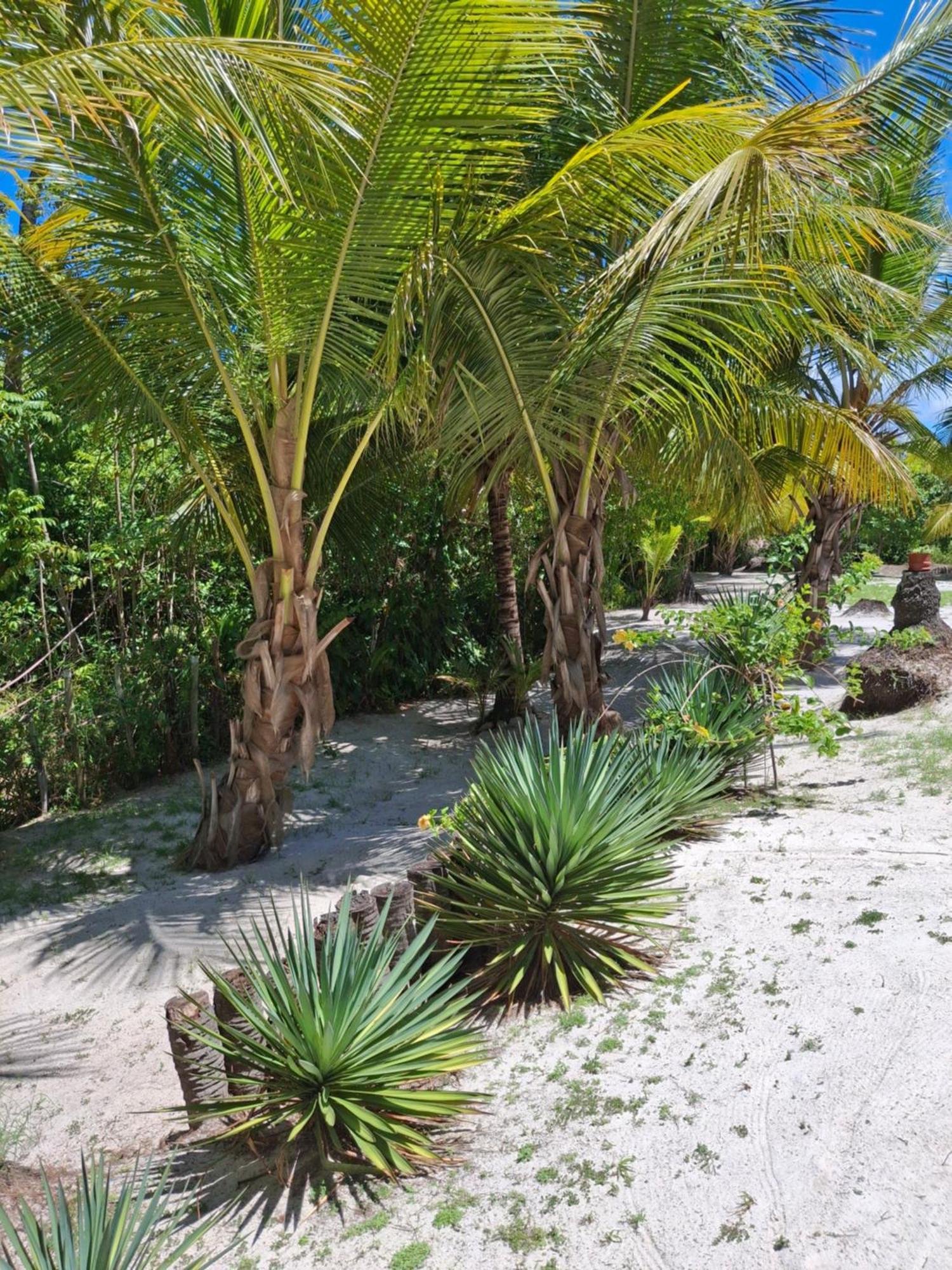 Recanto Verde - Praia De Santo Antonio Diogo Exteriér fotografie